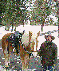 Belgian Horse Saddle