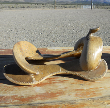 Draft Saddle Tree