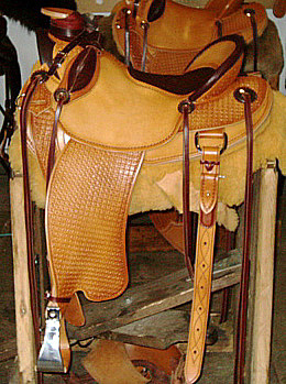 Shark Hide Saddle