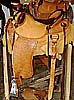 Shark Hide Saddle