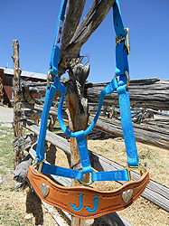 Bronc Halter