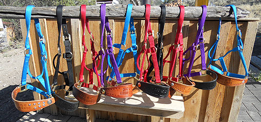 Bronc Halters