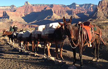 Grand Canyon