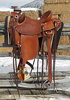 Guadalupe Mts. Mule Saddle